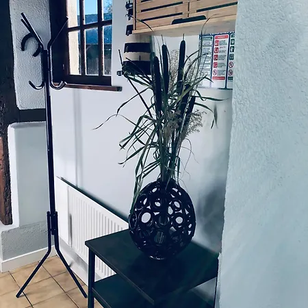 Ker Corsica Homestay